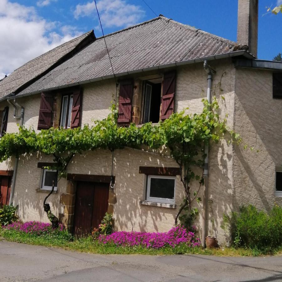 Maison Familiale Coteaux De La Vezere Voutezac ภายนอก รูปภาพ