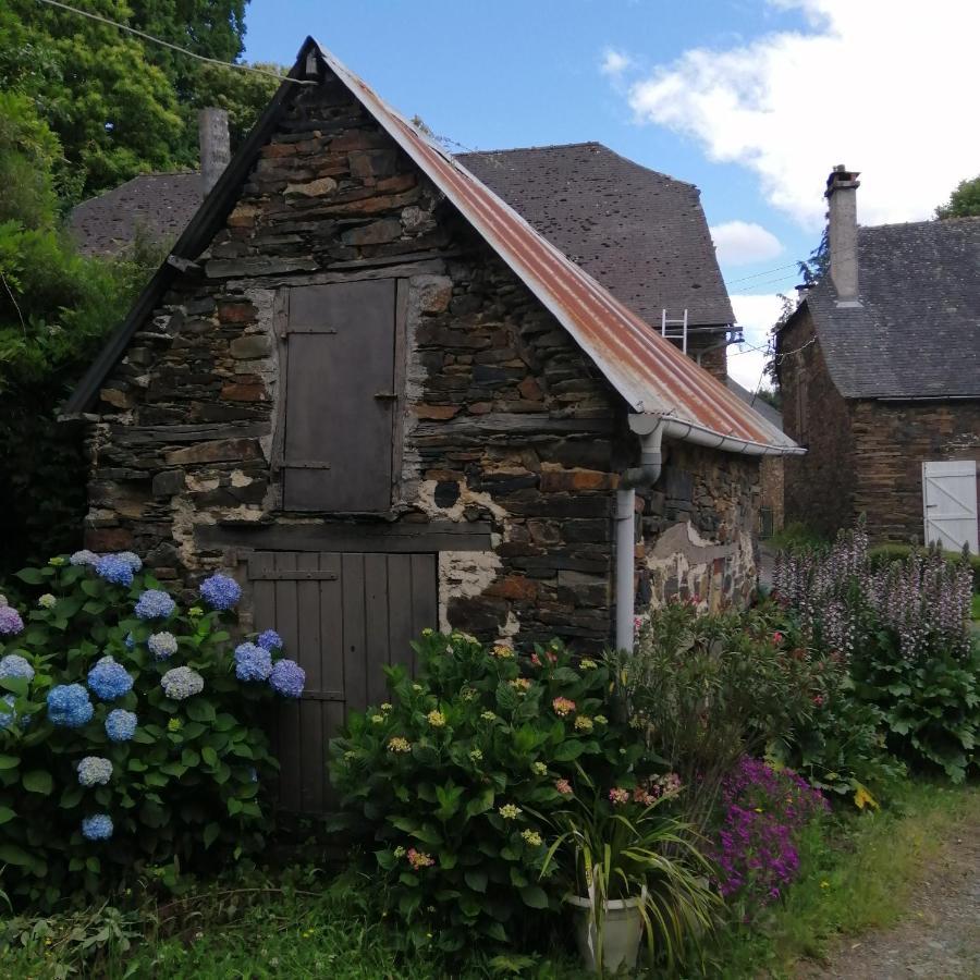 Maison Familiale Coteaux De La Vezere Voutezac ภายนอก รูปภาพ